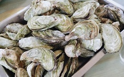 9420看片免费观看